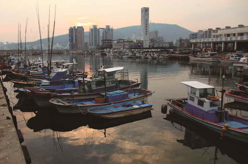 부산 수영 민락항