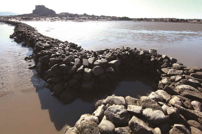 충남 서천 장포리