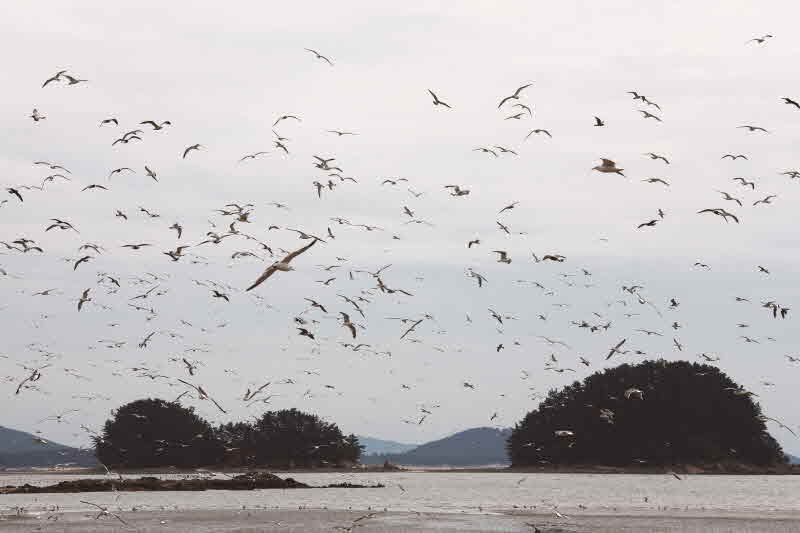 충남 서천 마량항