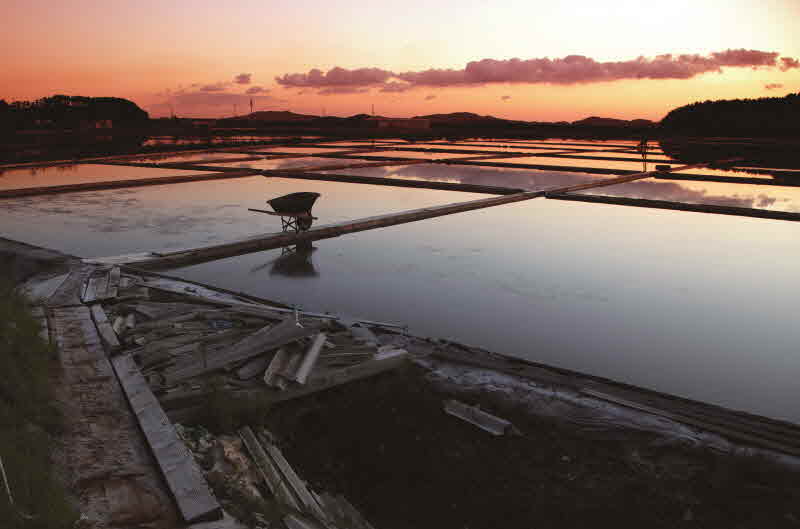 충남 서산 벌천포