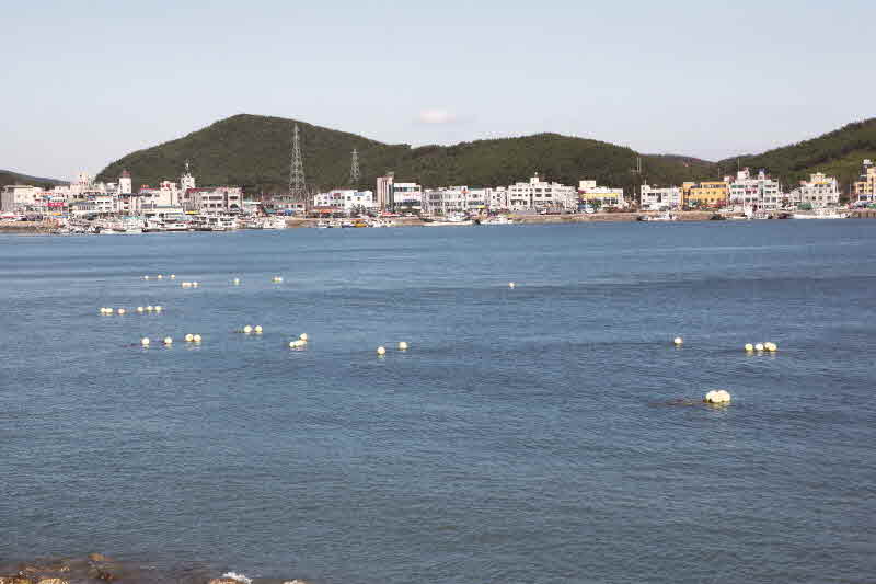 충남 보령 안흥외항