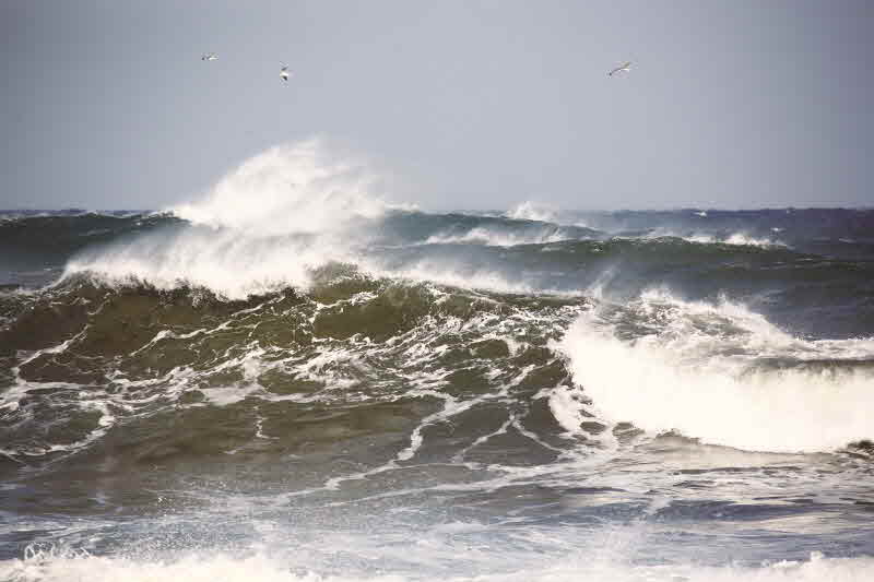 강원 양양 하조대