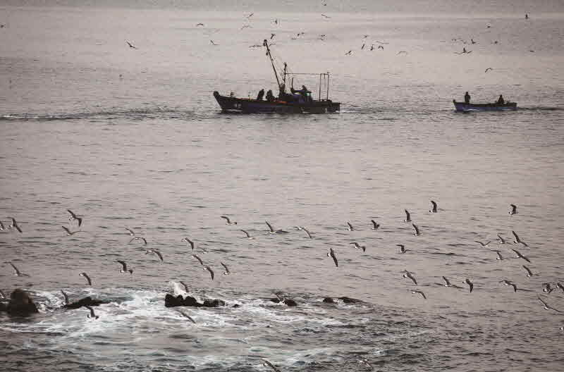 강원 삼척 장호