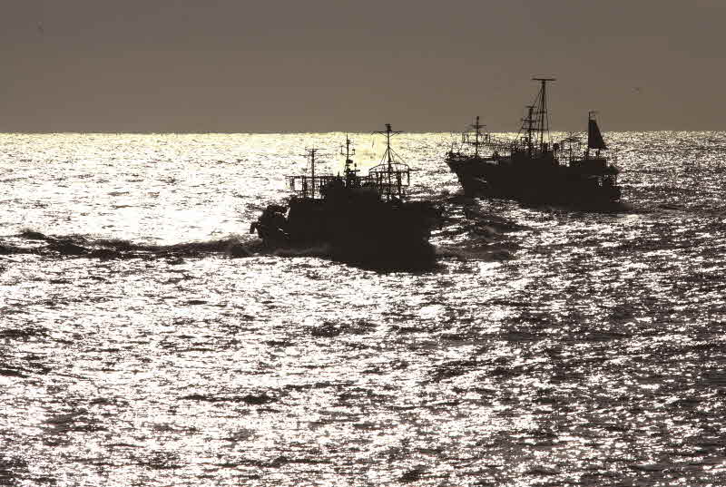 강원 동해 묵호항