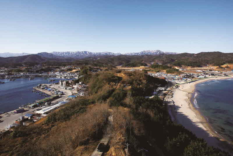 강원 고성 대진항