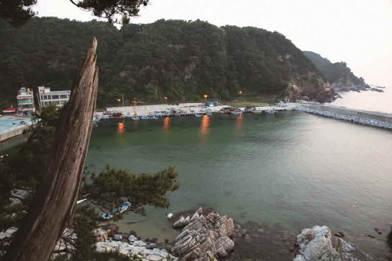 강원 강릉 심곡항