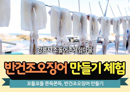 성게관찰 및 시식 체험 