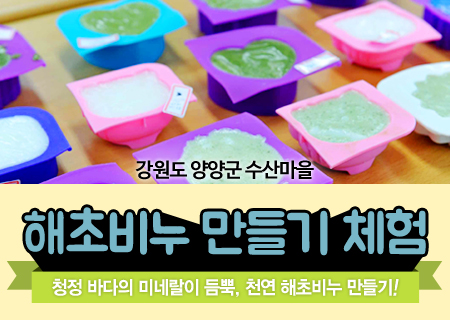 해초비누 만들기 체험