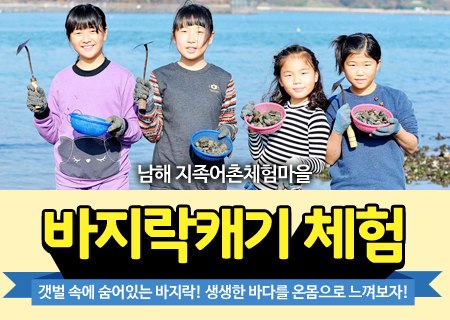 갯벌체험- 바지락조개잡이 체험