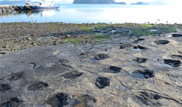 공룡발자국화석