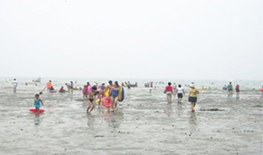 춘장대 해수욕장