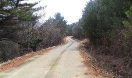 쌍근마을 무지개길