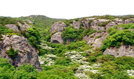 선운산 도립공원