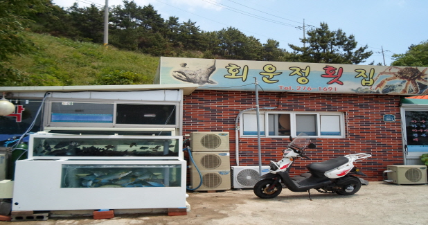 회운정횟집