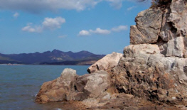 죽도(소죽도, 대죽도)