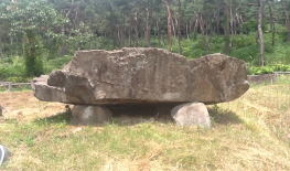 고창 선사유적지 고인돌