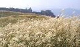 천관산 도립공원