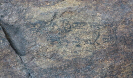 동고지 명품마을