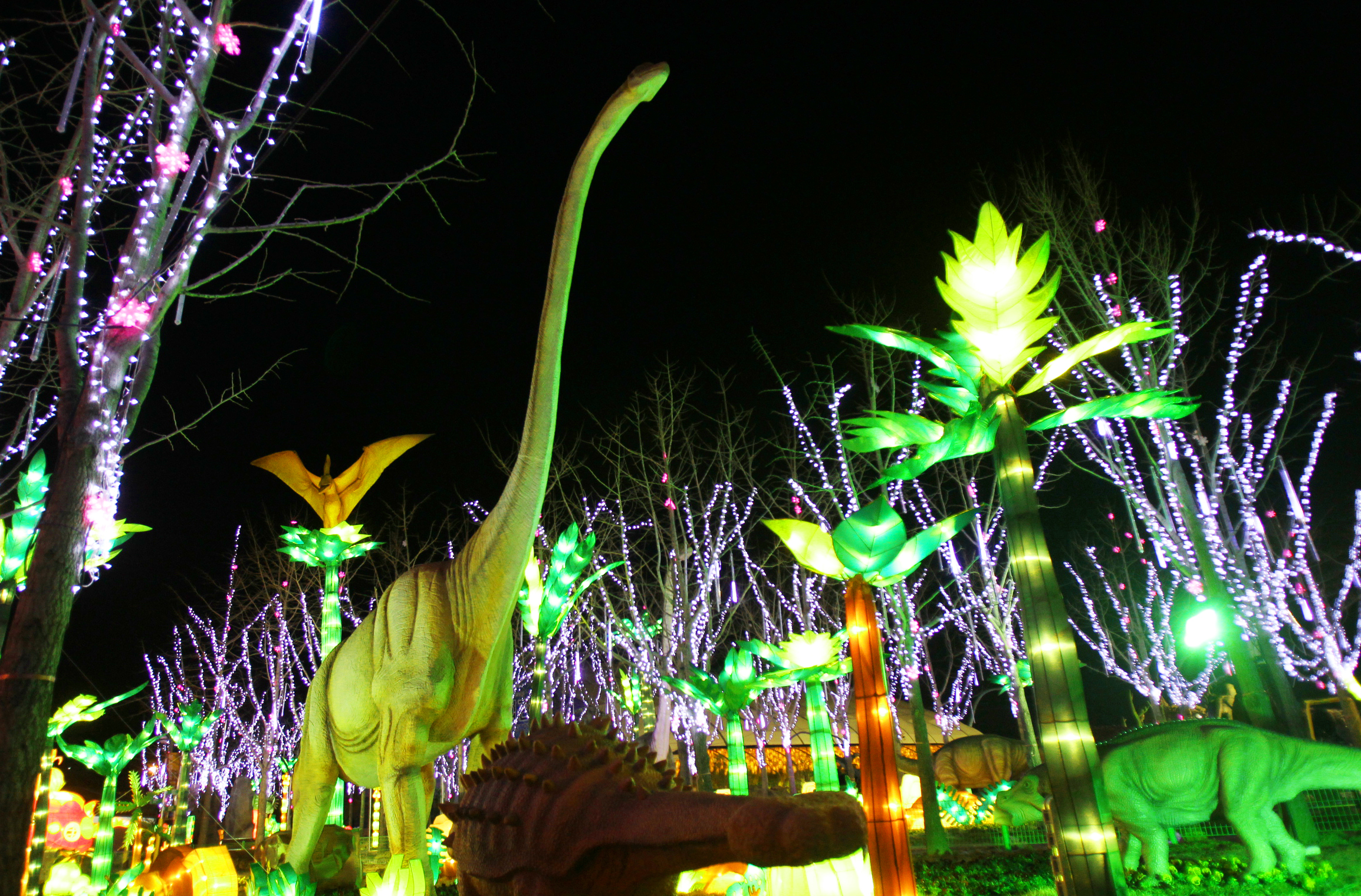 2016경남고성공룡세계엑스포