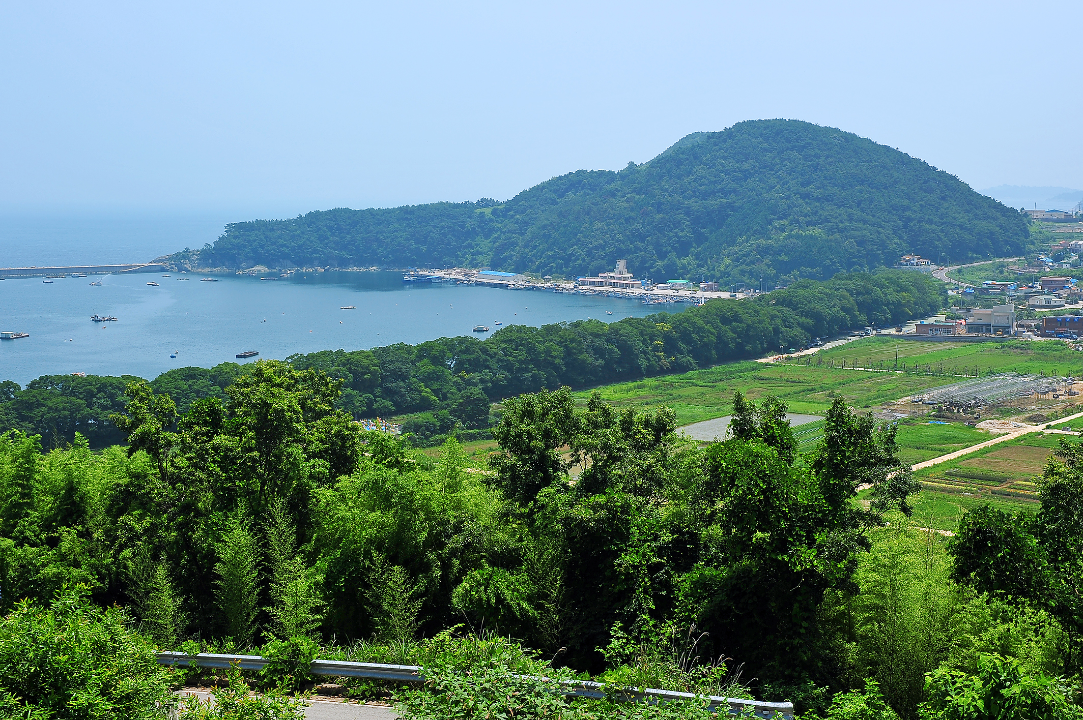 물건리방조어부림