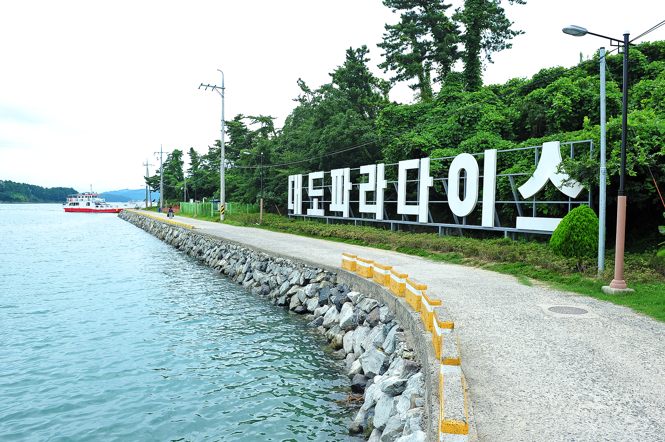 대도 파라다이스