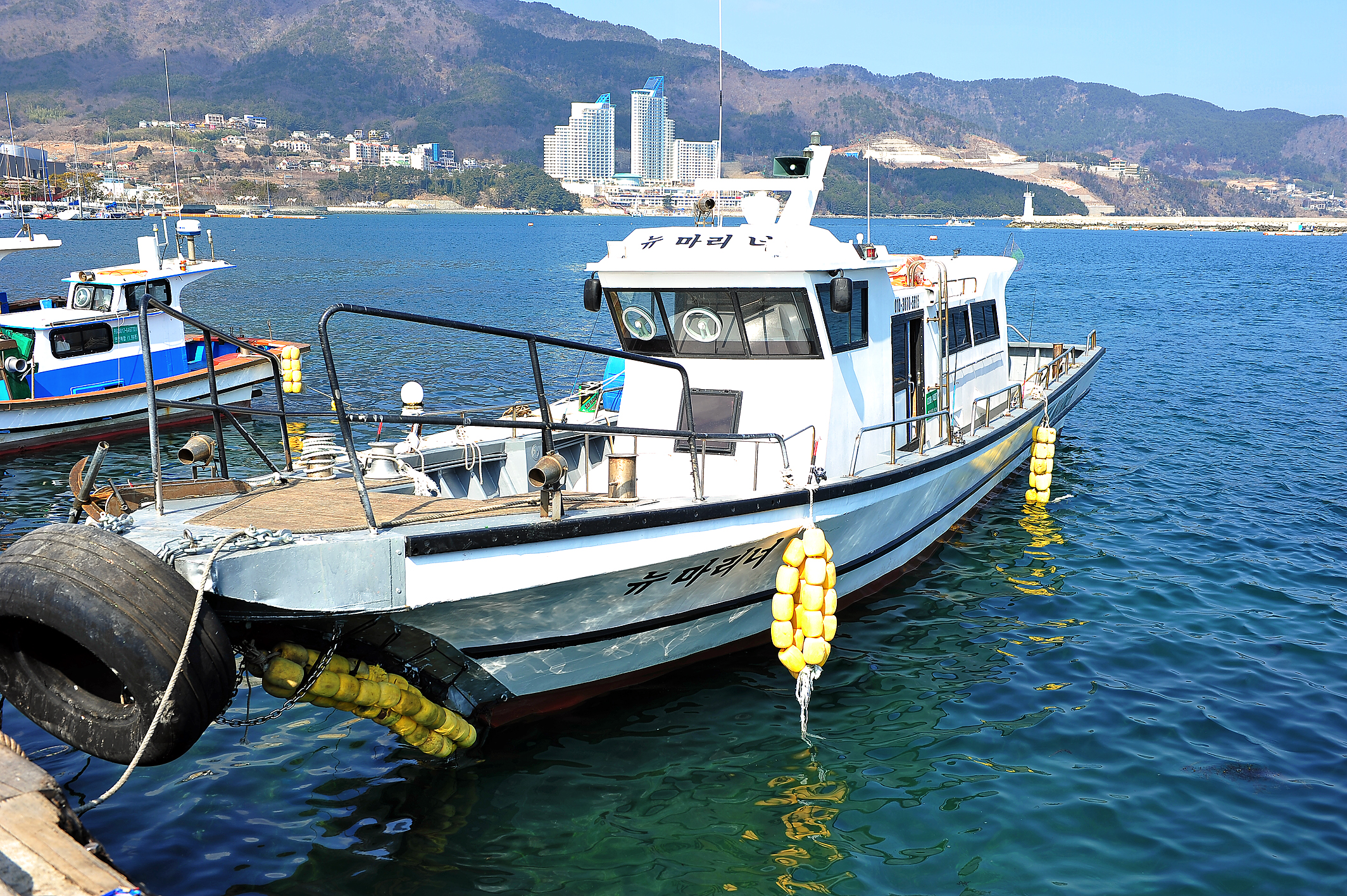 뉴마리너호, 마리너호, 대림2호