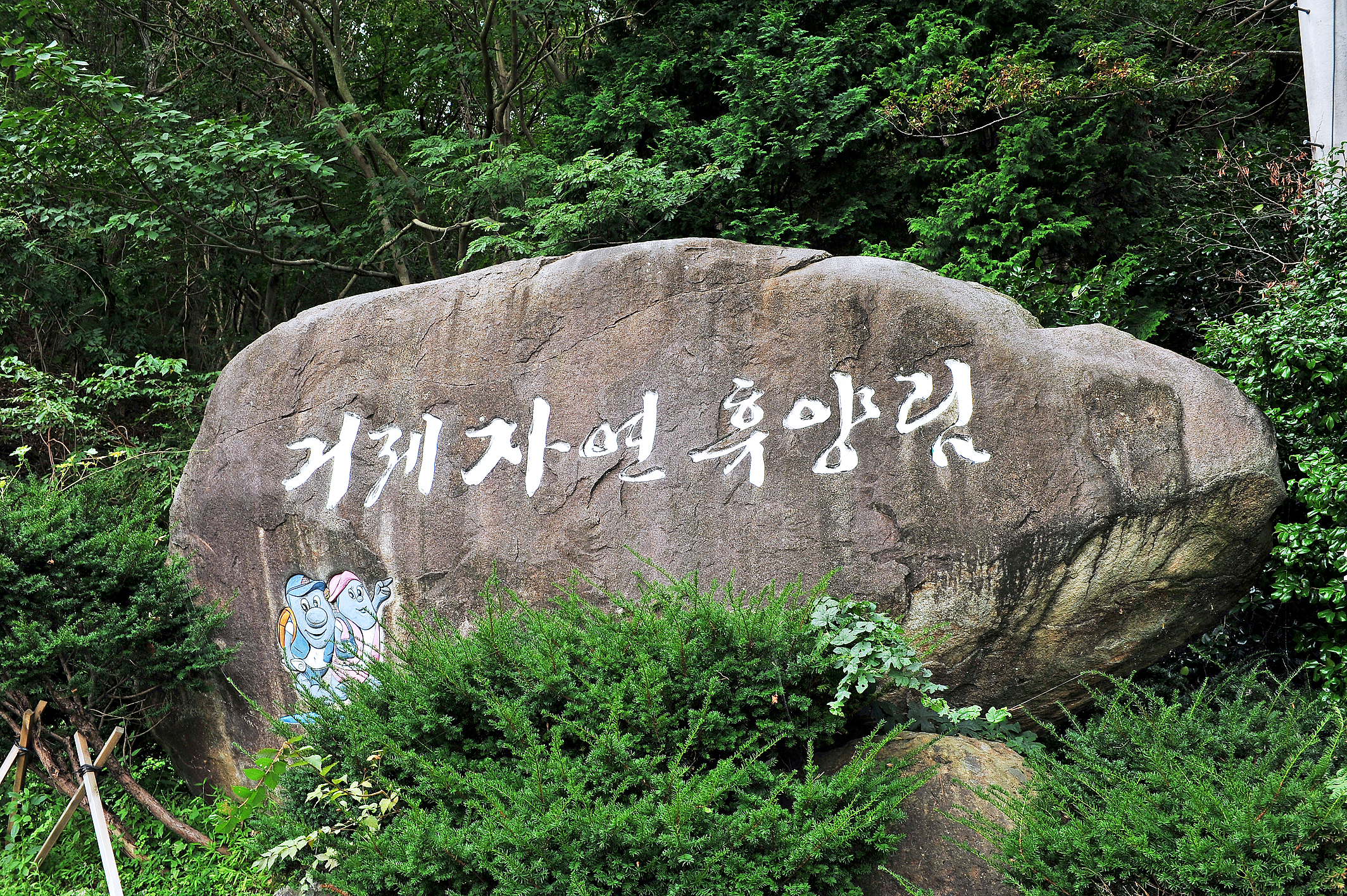 거제자연휴양림