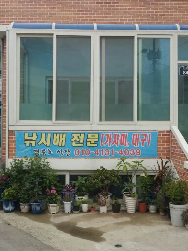 경북호