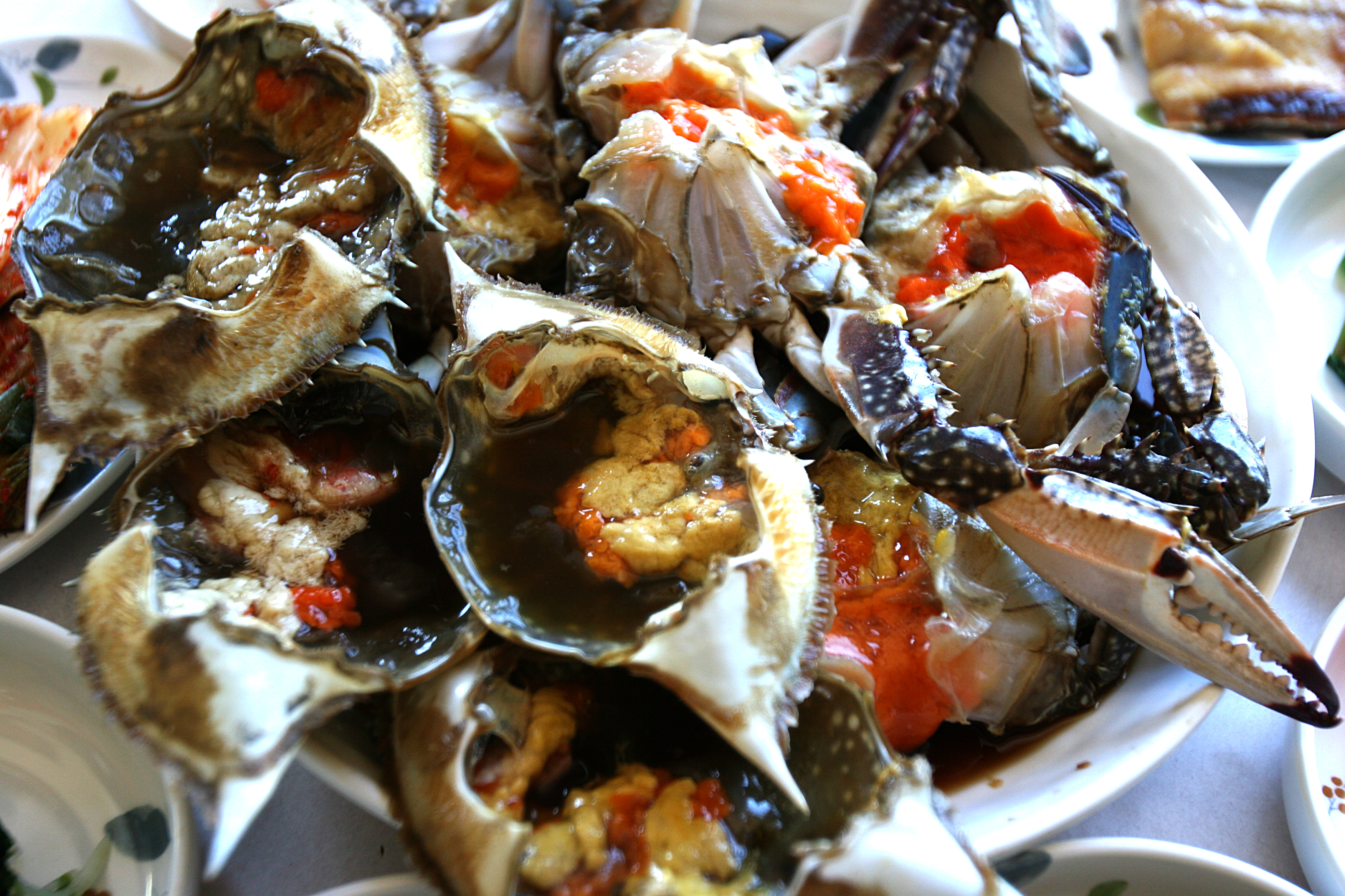 가을, 태안반도에서 불어오는 별미의 바람