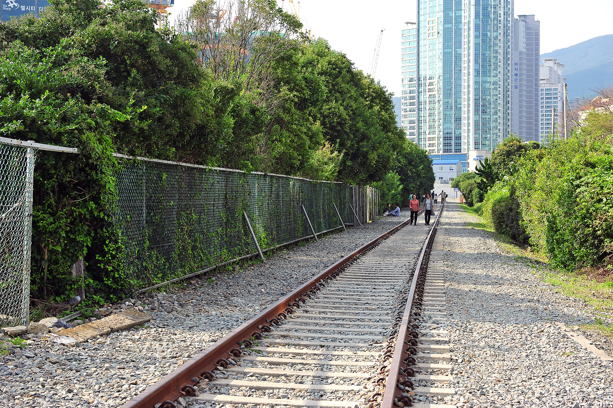 미포기찻길 (동해남부선 철길)