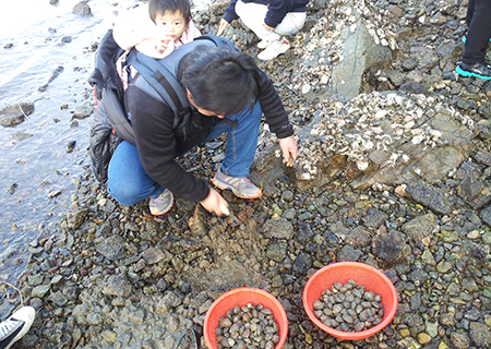 바지락체험