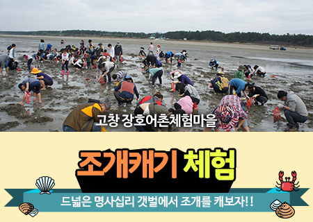 조개캐기체험