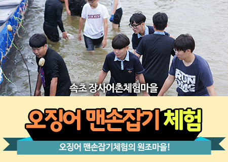 오징어 맨손잡기 체험