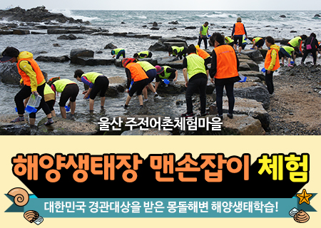 맨손잡이 체험