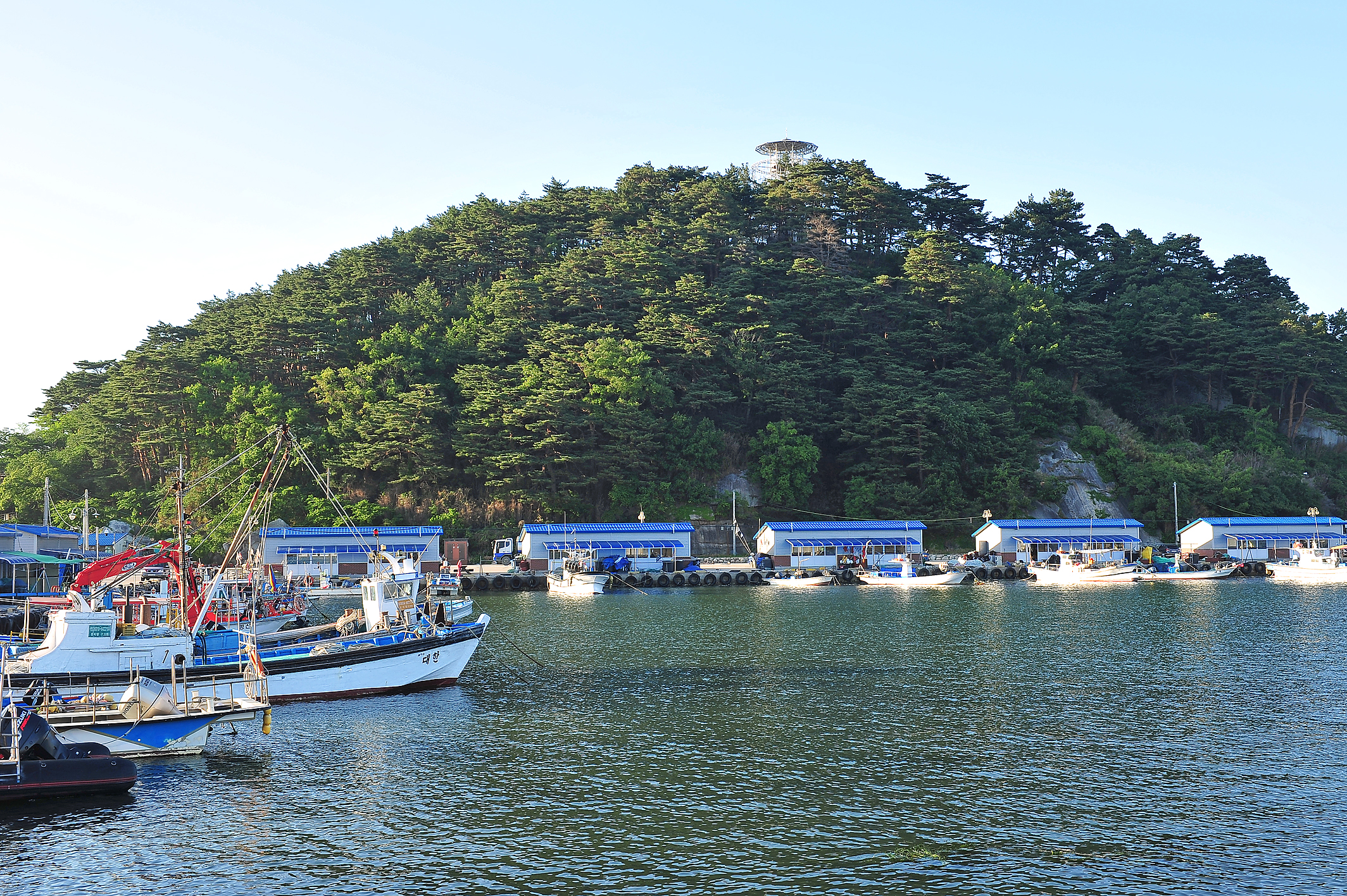 인구항 (죽도항)