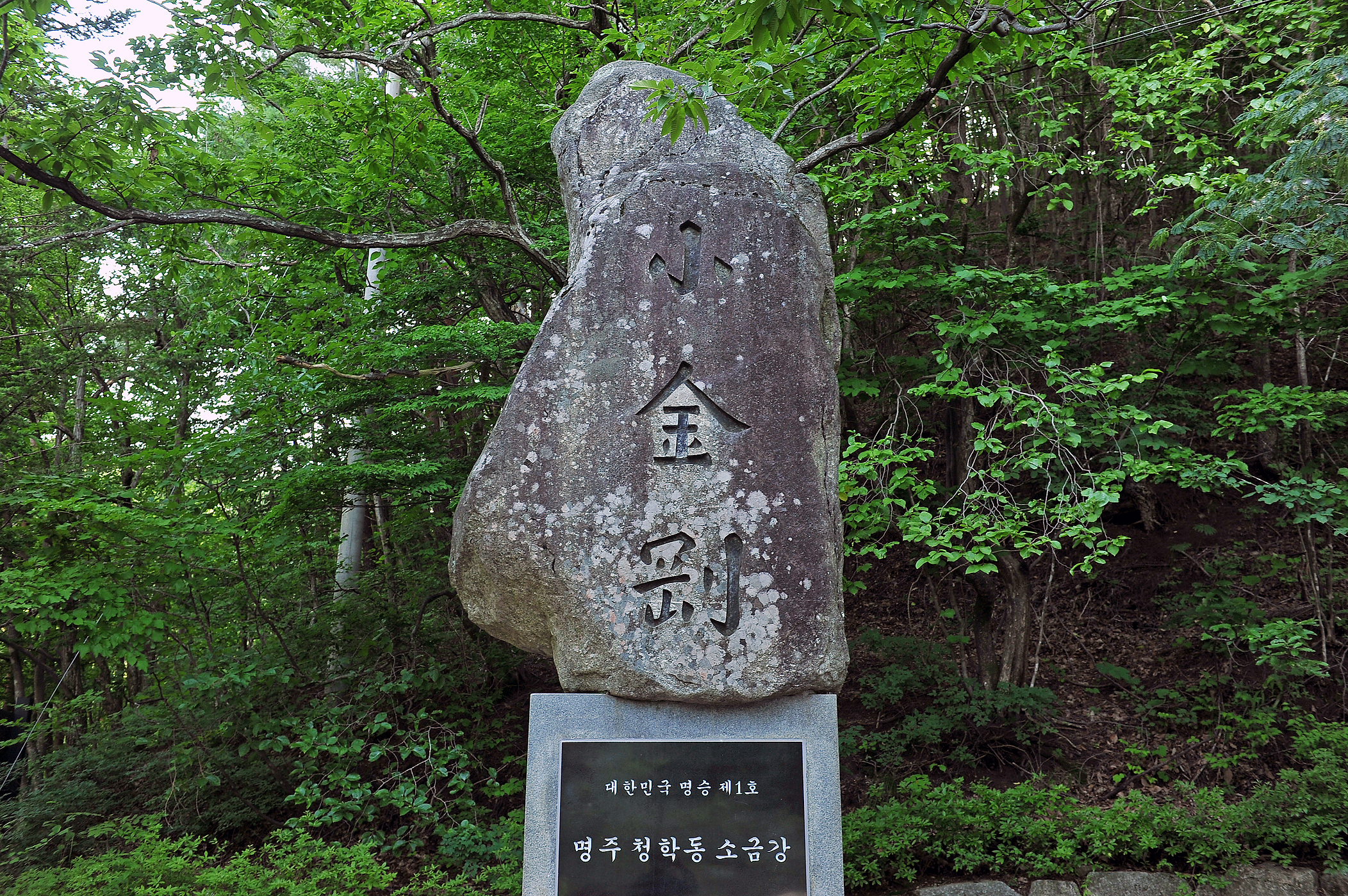 소금강계곡