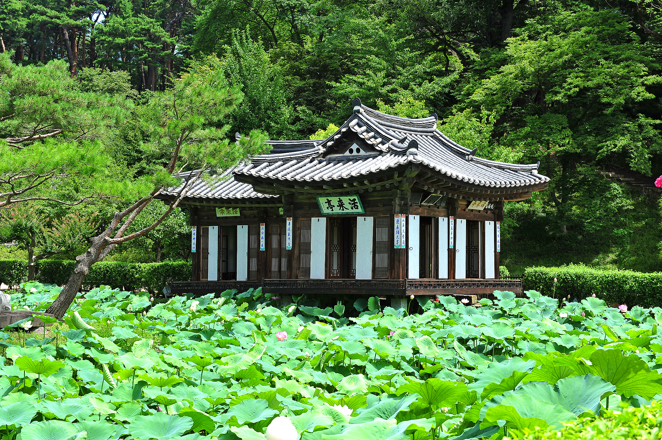 선교장 한옥체험관