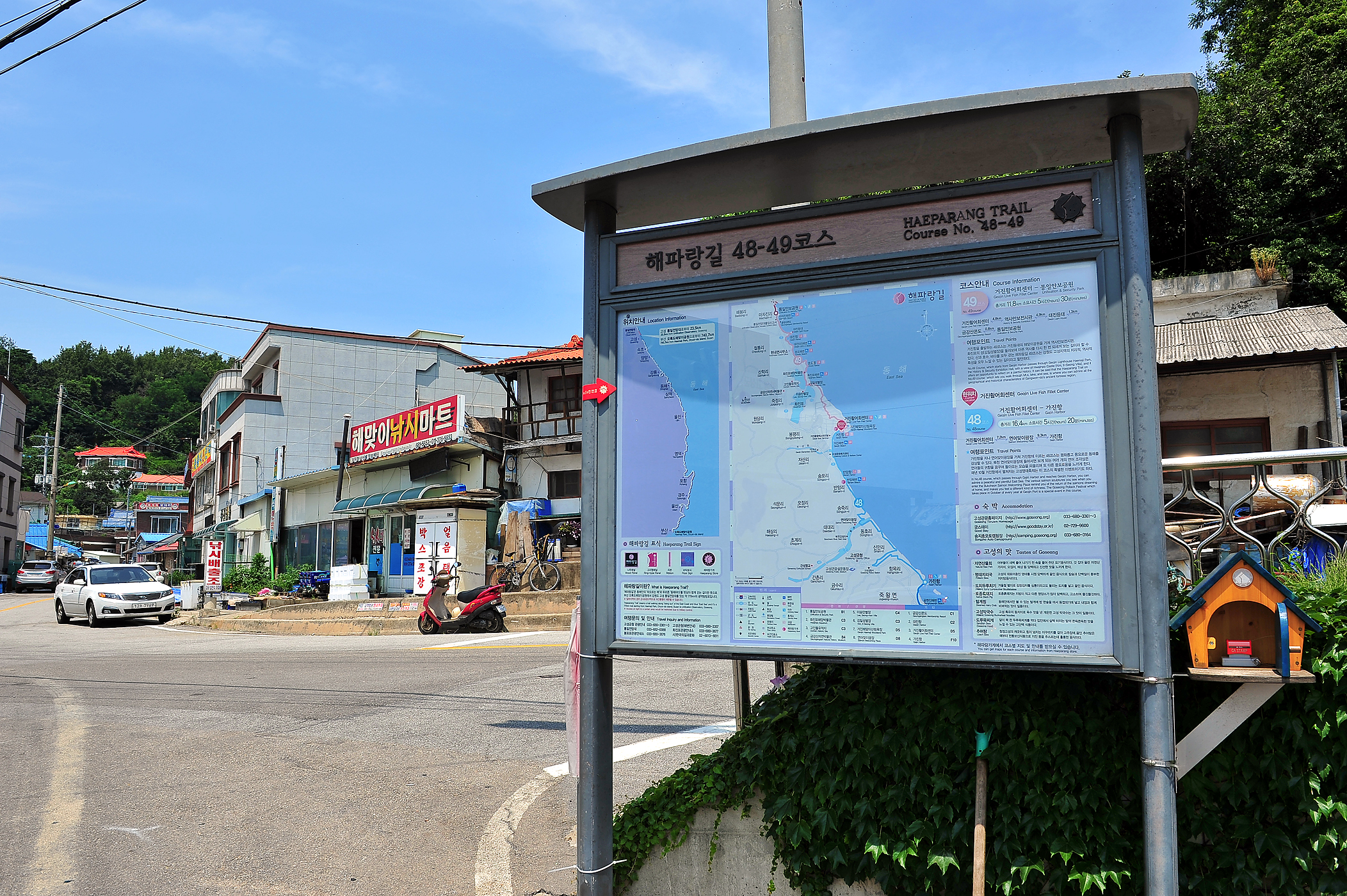 해파랑길 49코스