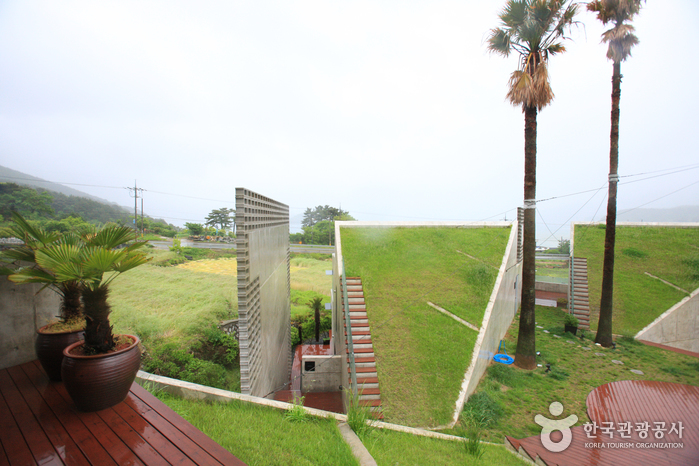 트로피칼드림 리조트