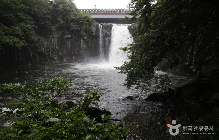 천제연폭포