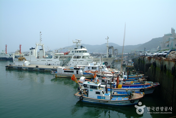 보령 외연도 상록수림 보호구역(천연기념물)