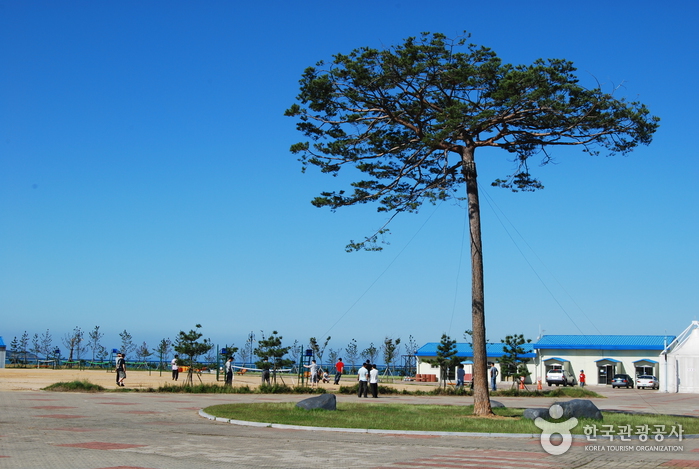 안면도 꽃지 할미할아비 바위 (천기 제69호)