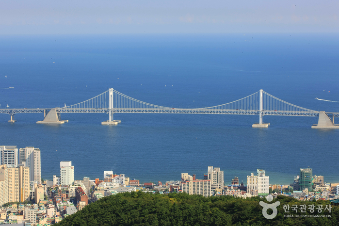 광안대교와 영화