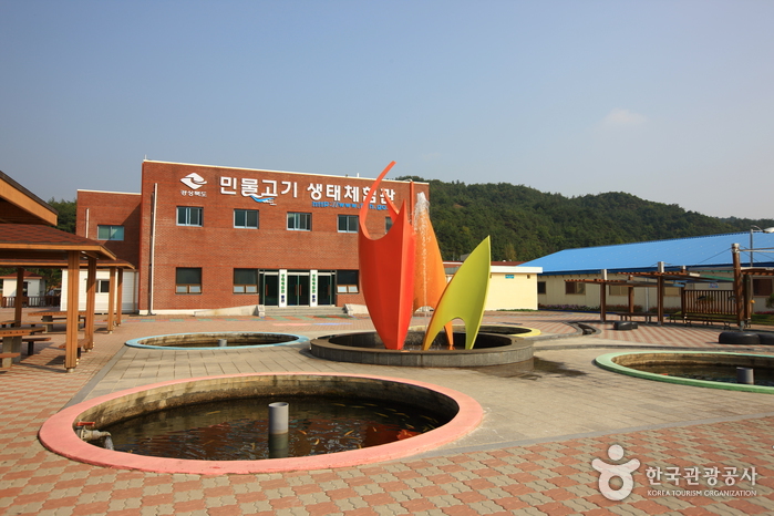 민물고기생태체험관