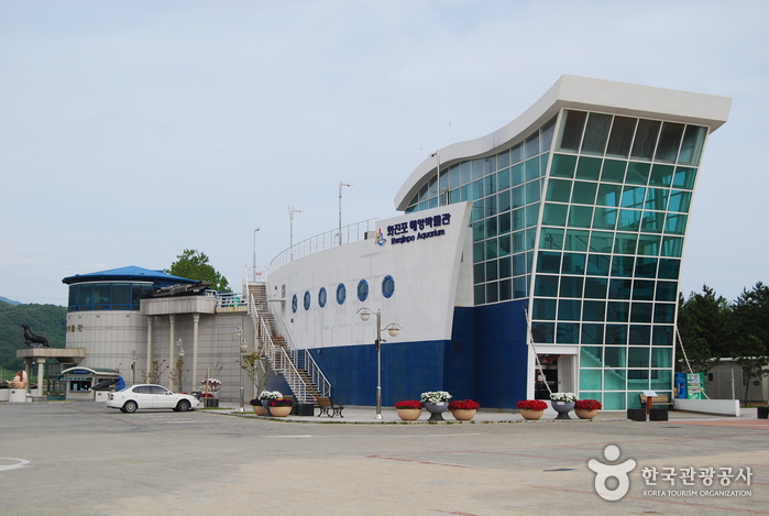 화진포 해양박물관