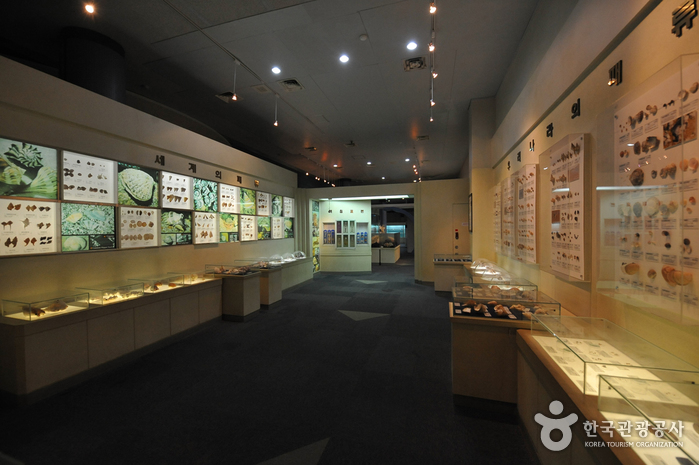 전라남도해양수산과학관