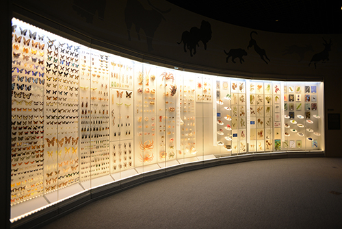 국립 낙동강 생물자원관