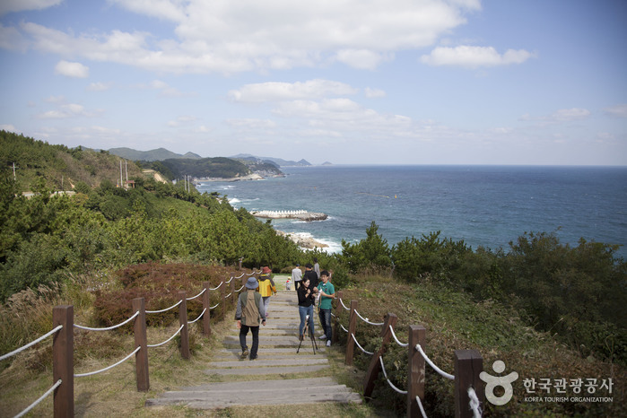 A코스 강구항~해맞이공원
