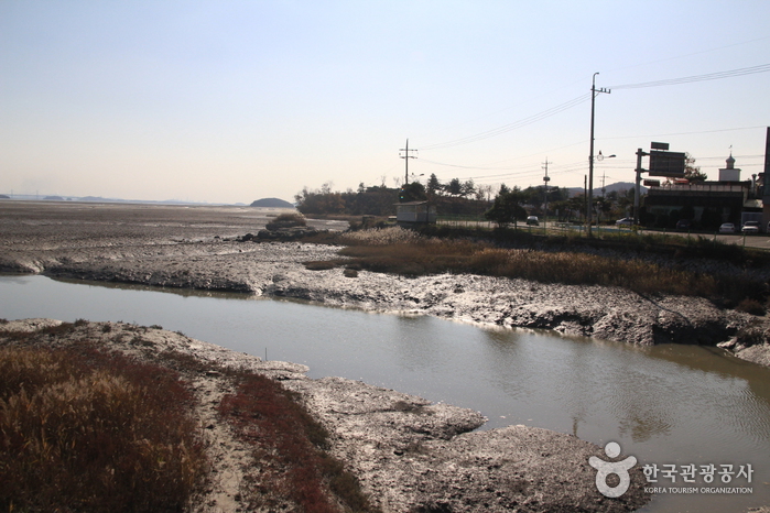 철새 보러 가는 길