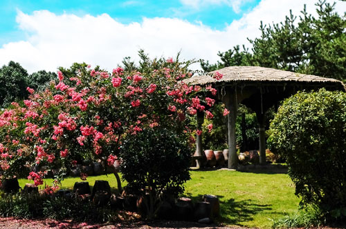 휴애리 자연생활공원